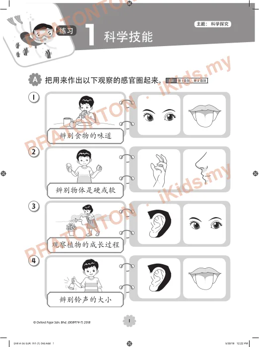 Pratonton muka 1 lembaran A 把用来作出以下观察的感官圈起来。 1.1.1 第 1 级别， 第 2 级别 — Sains Tahun 1