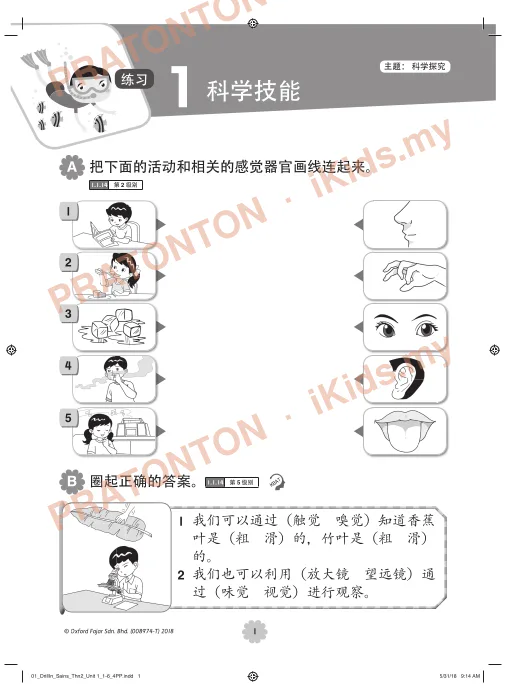 Pratonton muka 1 lembaran A 把下面的活动和相关的感觉器官画线连起来。 — Sains Tahun 2