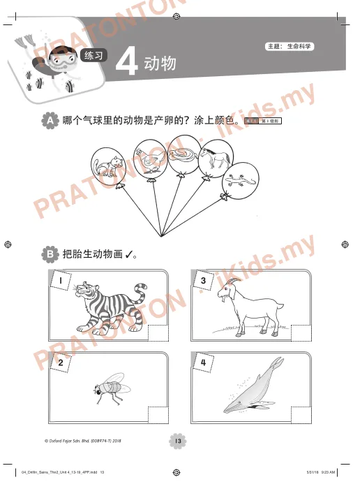 Pratonton muka 13 lembaran A 把下面的活动和相关的感觉器官画线连起来。 — Sains Tahun 2