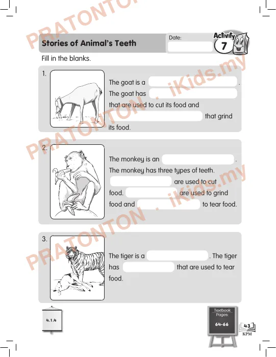 Pratonton muka 49 lembaran ACTIVITY BOOK — Matematik Tahun 3