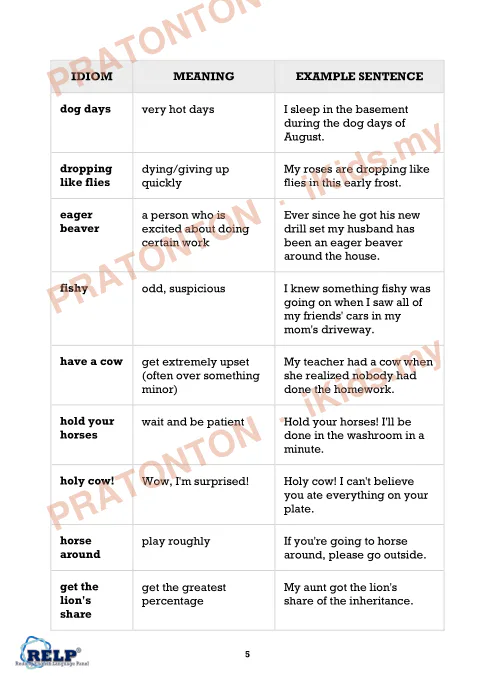 Pratonton muka 2 lembaran Animal Idioms — Bahasa Inggeris Tahun 1