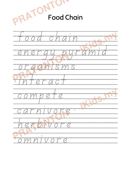 Pratonton muka 47 lembaran ANIMALS WORKSHEETS — Sains Tahun 3