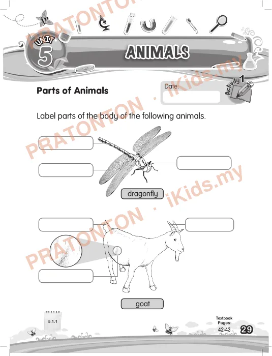 Pratonton muka 1 lembaran ANIMALS — Sains Tahun 1