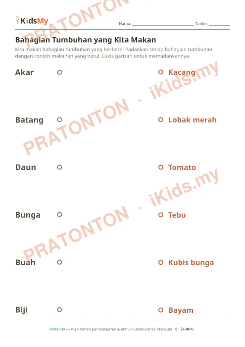 Pratonton muka 1 lembaran Bahagian Tumbuhan yang Kita Makan — Sains Tahun 3