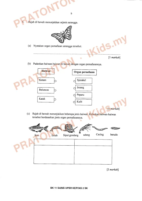 Pratonton muka 5 lembaran Bahan Kecemerlangan UPSR 2016 (BK 11) — Sains SK Kertas 2 — Sains Tahun 6