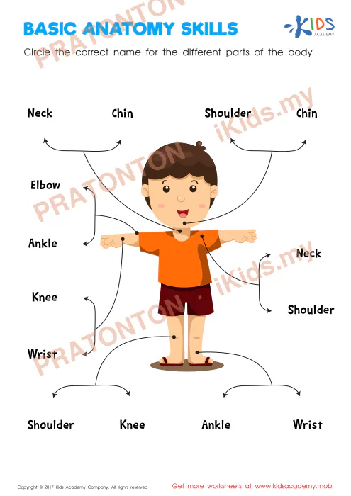 Pratonton muka 1 lembaran BASIC ANATOMY SKILLS — Sains Tahun 1