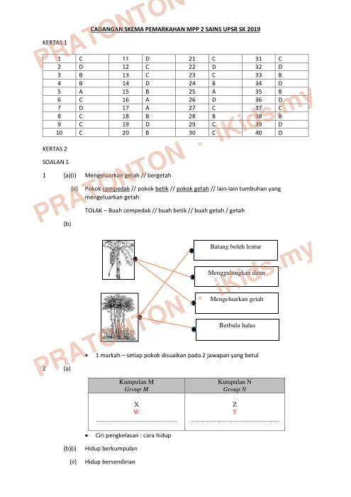 Pratonton muka 1 lembaran Cadangan Skema Pemarkahan MPP 2 UPSR 2019 — Sains SK — Sains Tahun 6