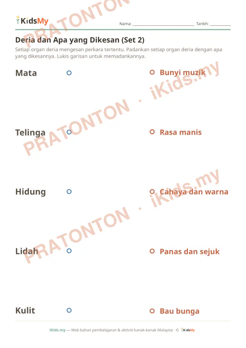 Pratonton muka 1 lembaran Deria dan Apa yang Dikesan (Set 2) — Sains Tahun 2