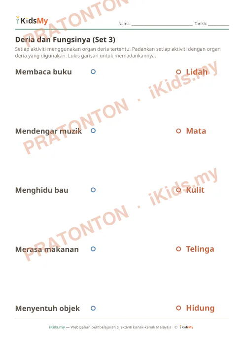Pratonton muka 1 lembaran Deria dan Fungsinya (Set 3) — Sains Tahun 2