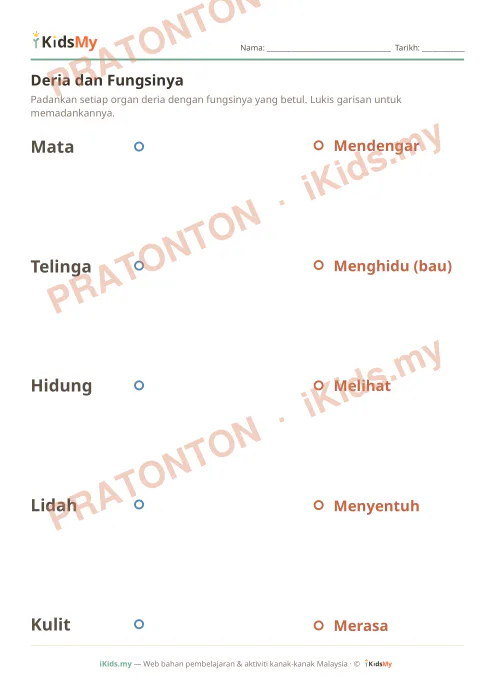 Pratonton muka 1 lembaran Deria dan Fungsinya — Sains Tadika (2-6)