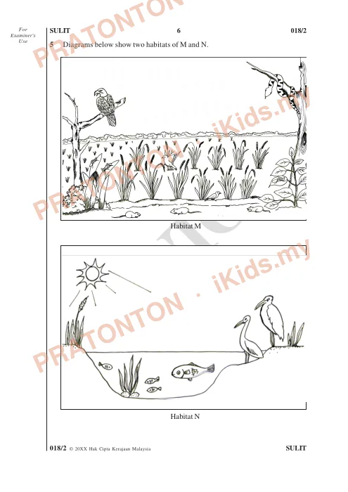 Pratonton muka 6 lembaran Format Soalan UPSR Mulai 2016 — Sains Kertas 2 (Bahasa Inggeris) — Sains Tahun 6