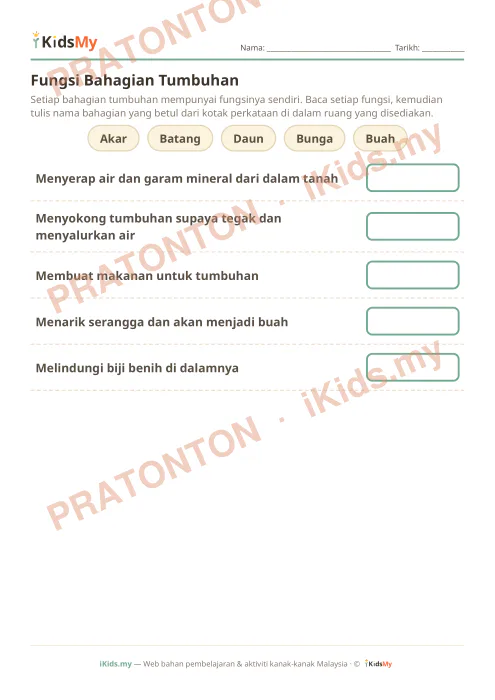 Pratonton muka 1 lembaran Fungsi Bahagian Tumbuhan — Sains Tahun 3