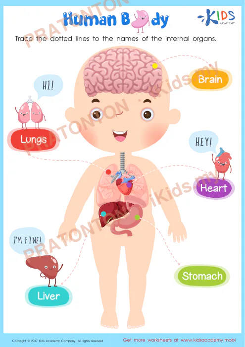 Pratonton muka 1 lembaran Human B — Sains Tahun 2
