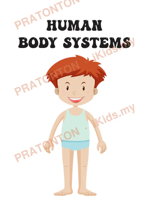 Pratonton muka 1 lembaran Human Body System — Sains Tahun 4