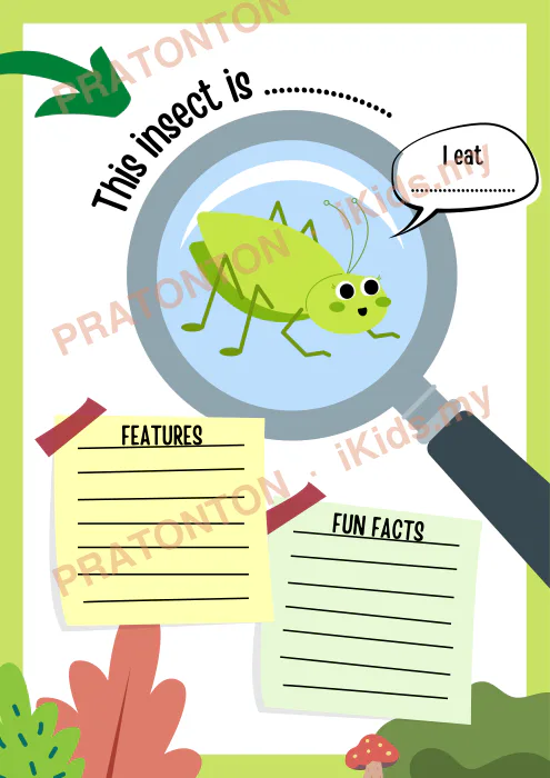Pratonton muka 7 lembaran INSECTS — Bahasa Inggeris Tahun 1
