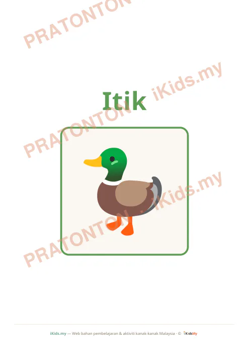 Pratonton muka 5 lembaran Kad Haiwan (Flashcard Besar) — Sains Anak Istimewa
