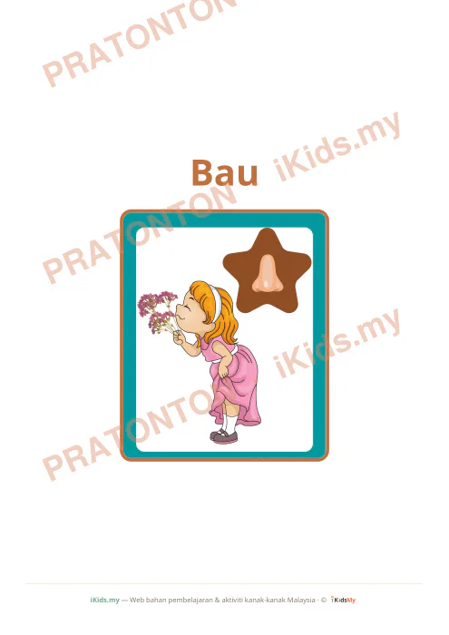 Pratonton muka 3 lembaran Kad Pancaindera (Flashcard Besar) — Sains Anak Istimewa