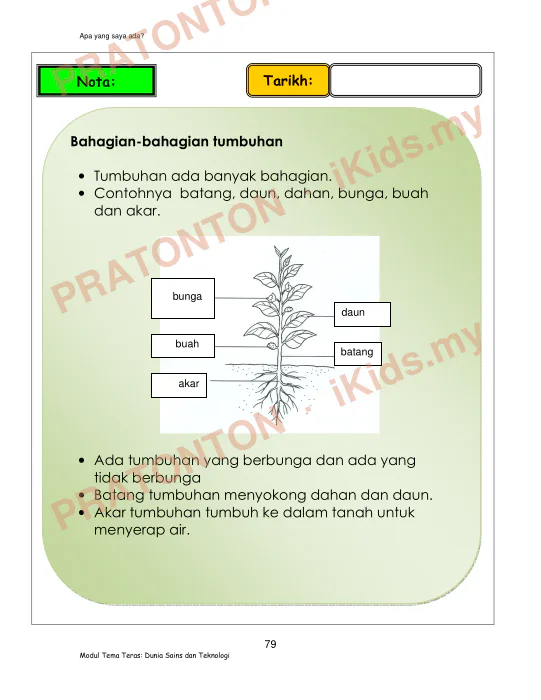Pratonton muka 84 lembaran KEMENTERIAN PELAJARAN MALAYSIA — Sains Tahun 1