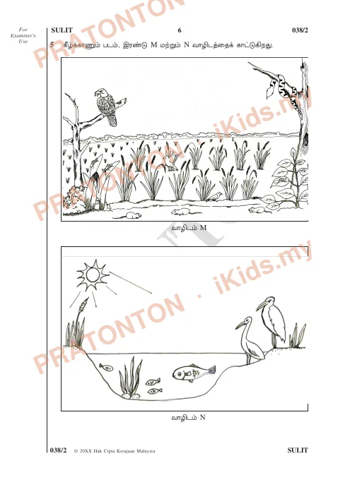 Pratonton muka 6 lembaran Kertas Contoh UPSR — Sains Kertas 2 (Kod 038, SJKT) — Sains Tahun 6