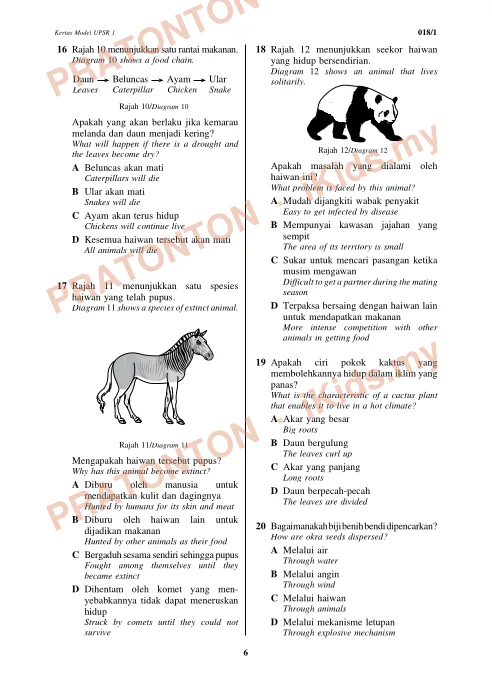 Pratonton muka 6 lembaran Kertas Model UPSR 1 — Sains Kertas 1 — Sains Tahun 6