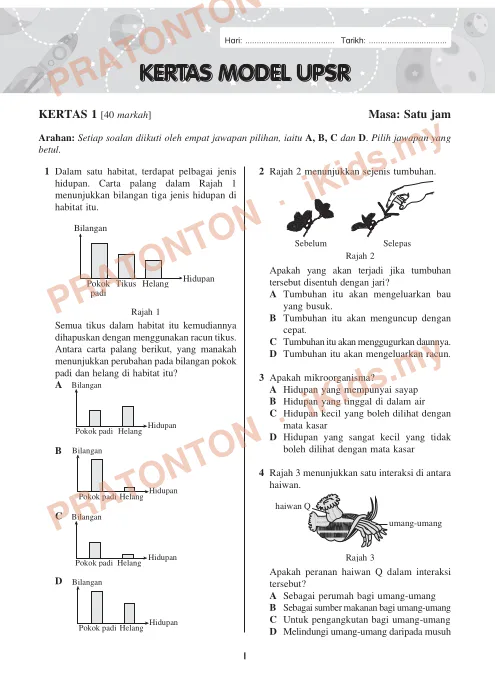 Pratonton muka 1 lembaran Kertas Model UPSR — Sains Tahun 6 (Modul Aktiviti) — Sains Tahun 6