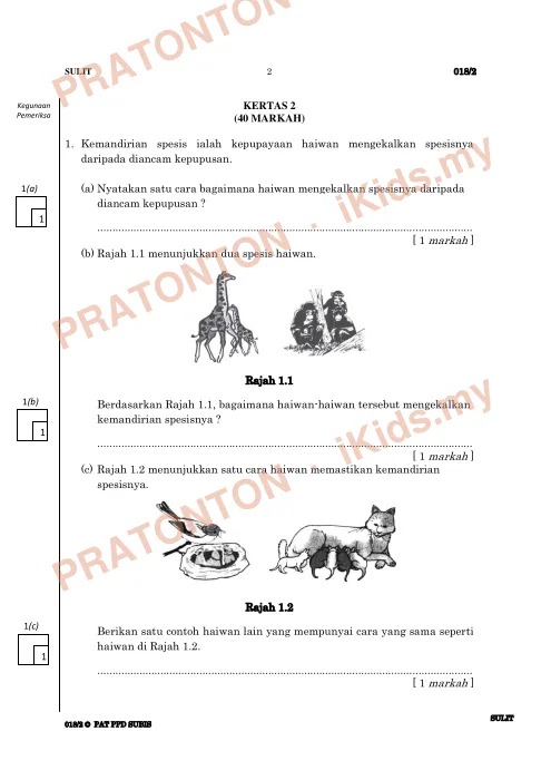 Pratonton muka 1 lembaran Kertas Ujian Sains Tahun 5 — Kertas 2 (40 Markah) — Sains Tahun 5