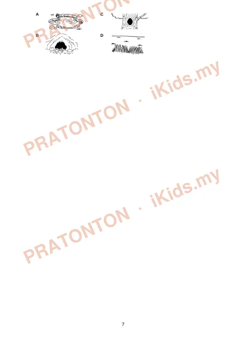 Pratonton muka 7 lembaran Kertas Ujian Sains Tahun 5 — Set Soalan — Sains Tahun 5