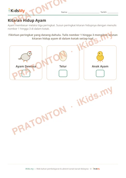 Pratonton muka 1 lembaran Kitaran Hidup Ayam — Sains Tahun 2