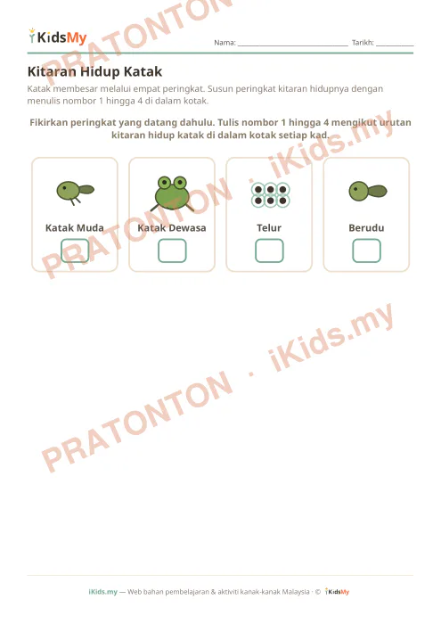Pratonton muka 1 lembaran Kitaran Hidup Katak — Sains Tahun 2