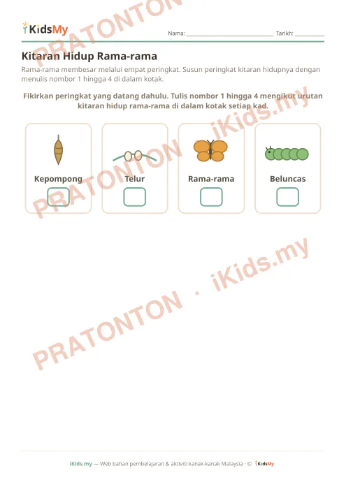 Pratonton muka 1 lembaran Kitaran Hidup Rama-rama — Sains Tahun 2