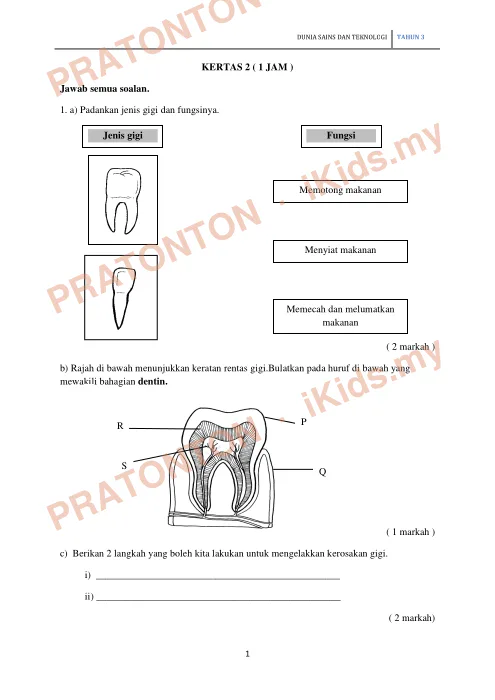 Pratonton muka 1 lembaran Latihan Sains — Sains Tahun 3
