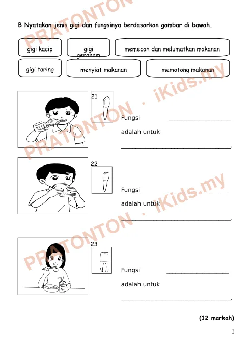 Pratonton muka 1 lembaran Latihan Sains — Sains Tahun 3