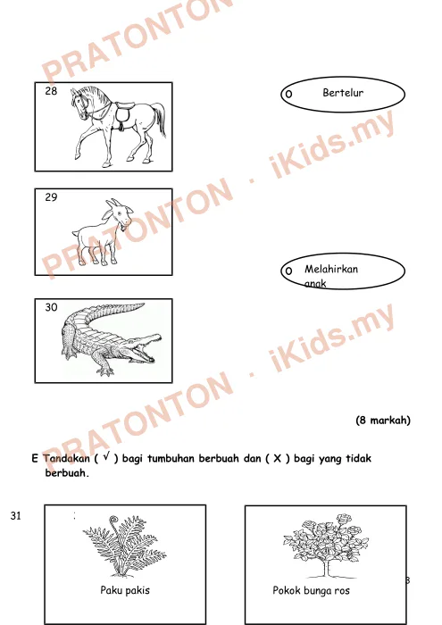 Pratonton muka 3 lembaran Latihan Sains — Sains Tahun 3