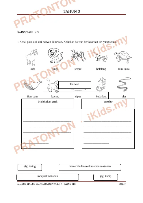 Pratonton muka 1 lembaran Latihan Sains — Sains Tahun 3