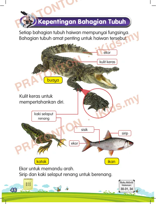 Pratonton muka 54 lembaran Latihan Sains Tahun 1 — Sains Tahun 1
