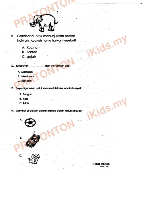 Pratonton muka 5 lembaran Latihan Sains Tahun 1 — Sains Tahun 1