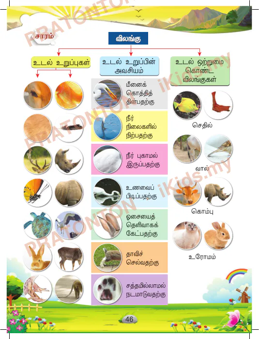 Pratonton muka 54 lembaran Latihan Sains Tahun 1 — Sains Tahun 1