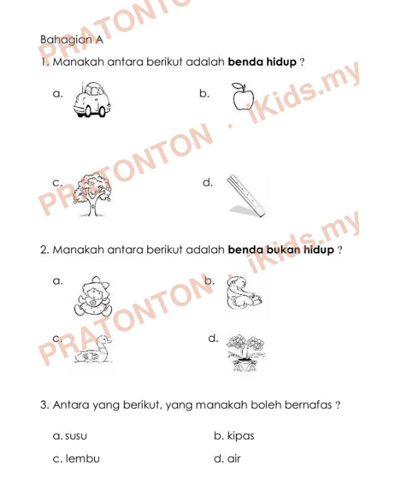 Pratonton muka 1 lembaran Latihan Sains Tahun 1 — Sains Tahun 1