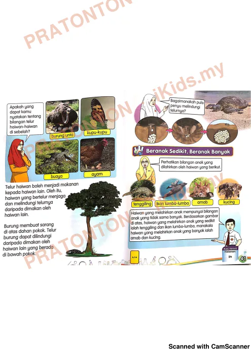 Pratonton muka 4 lembaran Latihan Sains Tahun 2 — Sains Tahun 2