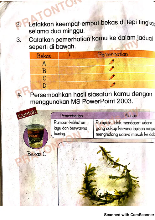 Pratonton muka 6 lembaran Latihan Sains Tahun 2 — Sains Tahun 2