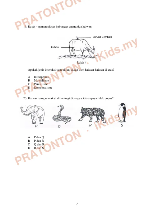 Pratonton muka 7 lembaran Latihan Sains Tahun 6 Kertas 1 — Set 6 — Sains Tahun 6