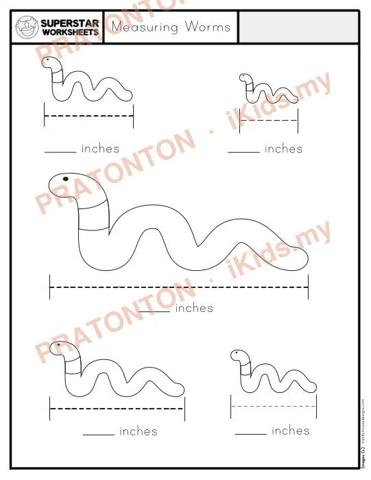 Pratonton muka 1 lembaran Measuring Worms — Matematik Tahun 1
