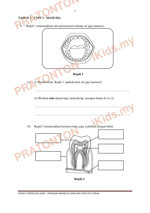Pratonton muka 1 lembaran Modul Cemerlang Sains Tahun 3 — Unit 2: Manusia — Sains Tahun 6