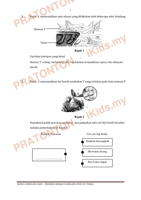 Pratonton muka 1 lembaran Modul Cemerlang Sains Tahun 5 — Set Latihan — Sains Tahun 6