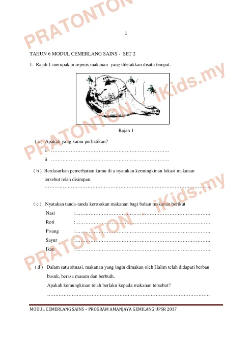 Pratonton muka 1 lembaran Modul Cemerlang Sains Tahun 6 — Set 2 — Sains Tahun 6
