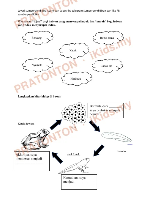 Pratonton muka 5 lembaran MODUL PBD — Sains Tahun 2