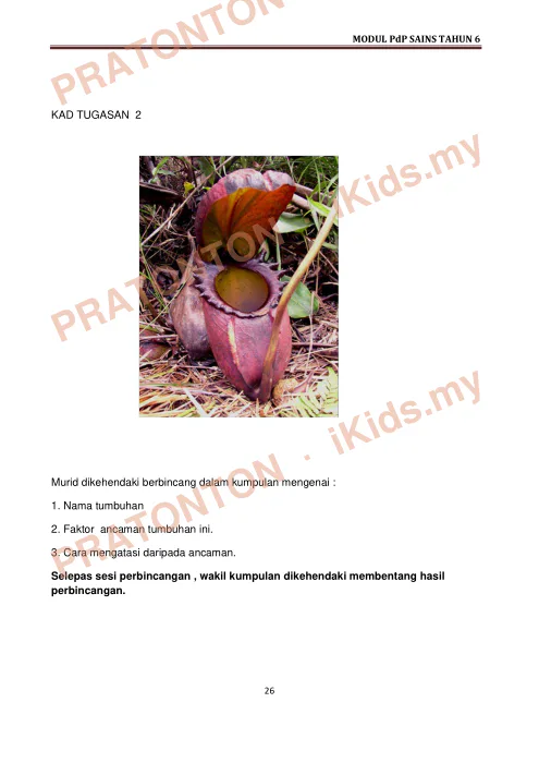 Pratonton muka 26 lembaran Modul Pengajaran dan Pembelajaran Sains KSSR Tahun 6 — Sains Tahun 6