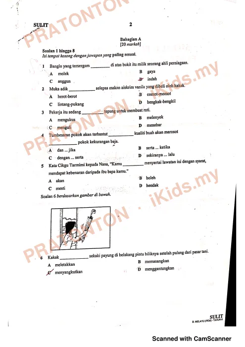 Pratonton muka 1 lembaran Modul Perkembangan Pembelajaran UPSR 2019 — Bahasa Melayu Pemahaman — Bahasa Melayu Tahun 6