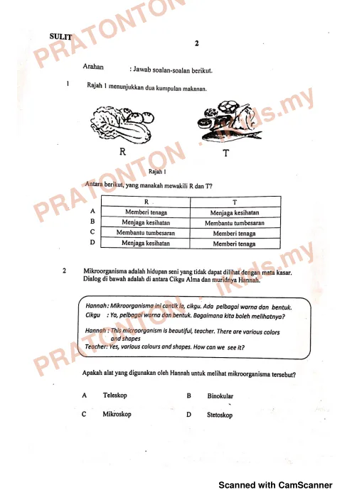 Pratonton muka 1 lembaran Modul Perkembangan Pembelajaran UPSR 2019 — Sains Kertas 1 — Sains Tahun 6
