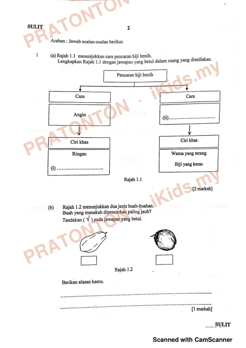 Pratonton muka 1 lembaran Modul Perkembangan Pembelajaran UPSR 2019 — Sains Kertas 2 — Sains Tahun 6